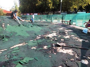 Сравнение качества резиновых покрытий